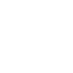 Custom Software Icon