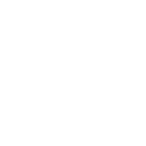 Custom Software Icon